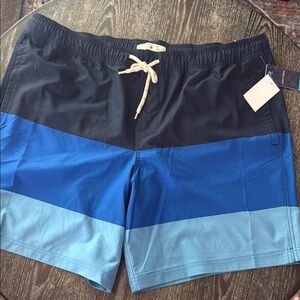 Stylish Black and Blue Men's Board Shorts